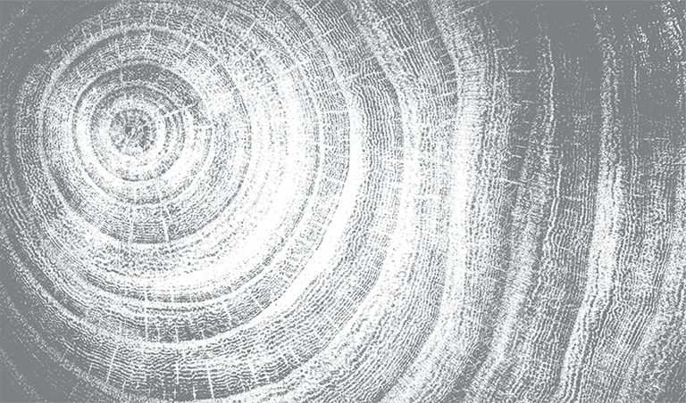 Header2